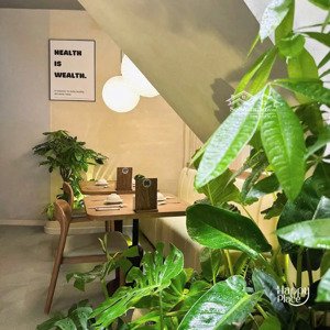 bán gấp trong tháng - bán nhà cao bá nhạ 49.5m² - 3 tầng - 33 tỷ