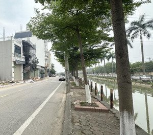 mặt đường sông đan hoài, đồng sậy, đan phượng