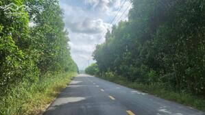 Bán đất 1000m2 thuộc phường LaGi, Lâm Đồng. Sổ riêng, đường rộng 10m, giá chỉ 500 triệu