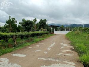 2.5 sào phường 3 Bảo Lộc. 100m mặt đường