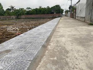 bán đất thái hưng- thái thụy- thái bình. diện tích: 300m2 . giá 780trieu - ngõ thông oto vào đất
