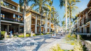 biệt thự charmoracity chỉ với 25% (6 tỷ) vay ngân hàng 70% ân hạn gốc & lãi suất đến 30 tháng