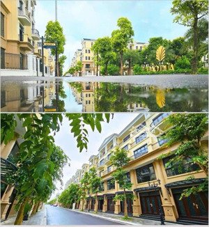 chính chủ cần bán căn liền kề 63 m2 hướng đông nam phân khu vip đảo dừa 1