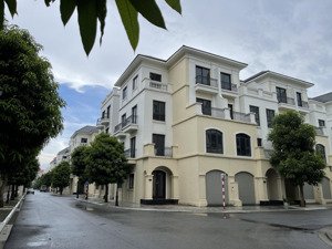 căn góc san hô hàng độc quyền giá tốt chỉ ngang căn thường tại ocean park 2