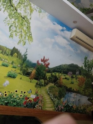 hàng hiếm tại lê trọng tấn, 6,3 tỷ, 33 m2, 3pn + 4wc + 5t