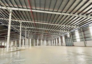 cho thuê xưởng sản xuất 8000m2 trong kcn long thành chỉ 3.5usd/m2