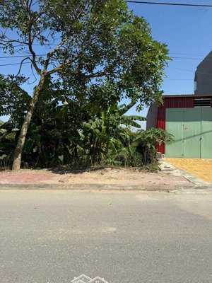 hiếm bán đất kim đào thị trấn thứa dt 105m mt hậu 5m25 vỉa hè kinh doanh ô tô tránh 500m ra chợ thứ