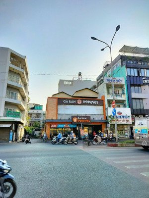 định cư - góc 2 mt lê đại hành, quận 11 - dt: 17x15m - 5 tầng - hđt: 280 triệu - giá: 55 tỷ