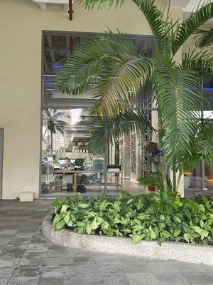 chỉ 76 tỷ bạn đã sở hữu cho mình một căn shophouse duy nhất tại đảo kim cương diện tích tới 510m .