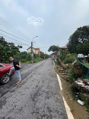 hàng f0 cực hiếm tầm tang, mễ sở văn giang