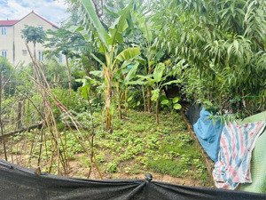 bán đất tại xã hải bối, đông anh, hà nội, 3,98 tỷ, 48m2.