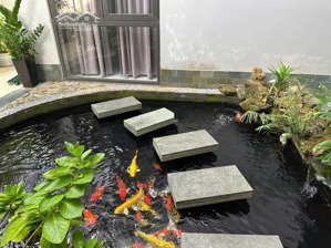 nhà biệt thự mới đà nẵng view chính diện sông. hướng đông nam mát mẻ. phù hợp kinh doanh cà phê