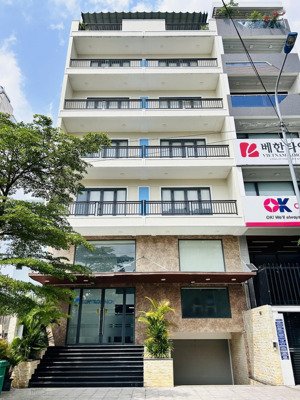 cho thuê tòa nhà mặt tiền khu bàu cát quận tân bình, diện tích 10x20m, 1 hầm 5 tầng
