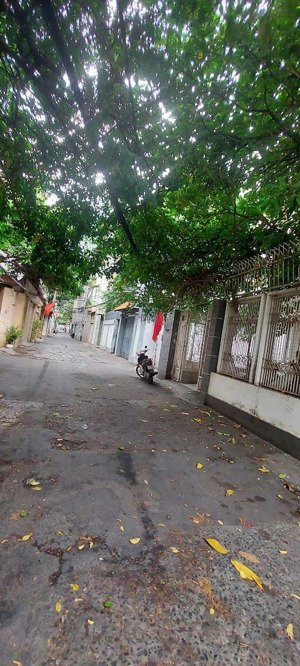 bán nhà hẻm 48 hồ biêu chánh - ngang 9m giá chỉ 28 tỷ