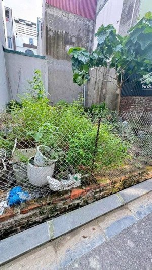 bán gấp lô đất 50m mai lâm đông anh vị trí vàng, giá chỉ nhỉnh 5 tỷ!