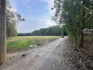 bán đất chánh phú hòa, bến cát, bình dương, lh 