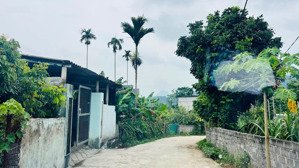 bán đất chính chủ tại kim bôi với diện tích 423m full thổ cư