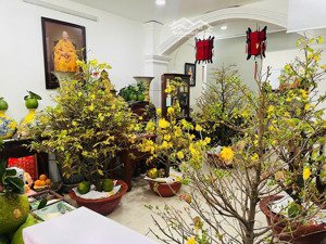 chính chủ cần bán gấp nhà 2 tầng tại đường hồ văn huê, phú nhuận. nhà có sổ hồng, pháp lý minh bạch