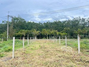 ngộp lô đất 125m2 mặt tiền bà thiên, nhuận đức, củ chi. 400tr, thổ cư