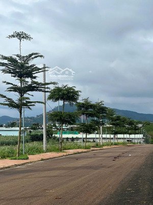 đất nền ven đà lạt - gần sân bay liên khương - sổ riêng - chỉ từ 850 triệu
