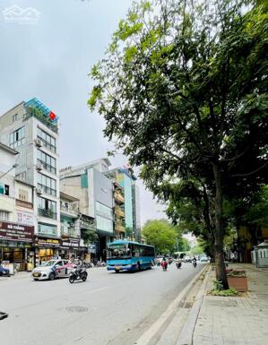 GIA ĐÌNH CẦN BÁN GẤP NHÀ PHỐ NGUYỄN THÁI HỌC PHƯỜNG ĐIỆN BIÊN BA ĐÌNH 50M 3 TẦNG NHỈNH 16 TỶ CÓ TL