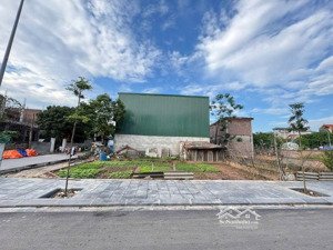 bán lô góc đất đấu giá x5 du nội mai lâm, đông anh