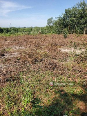 bán gấp nền tách thửa 840m2 tại minh thành, chơn thành, bình phước,