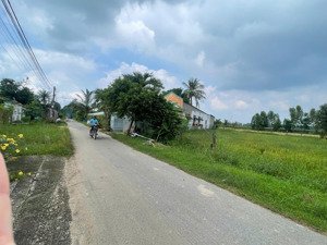 bán đất thổ cư (5,5x31) đường cây trôm mỹ khánh - shr