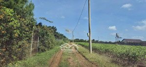 bán đất sổ hồng chính chủ ngay gần trung tâm bảo lộc