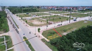 đất đấu giá bạch đa mê linh hà nội