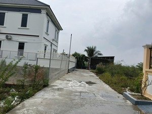 hàng siêu hiếm 60m đào yêu, hồng thái, an dương.