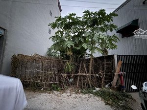 hiếm siêu phẩm có 1-0-2, đức giang long biên, 53m 8.16 tỷ lô góc, đường 17m thông, mặt tiền rộng