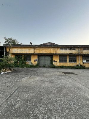 cho thuê kho- lĩnh nam- hoàng mai-dt 230m2 -cont đỗ cửa giá- 110k chưa vat