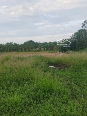 bán đất nền 9x39 tdt 350,5,có 150m thổ. mặt tiền đường nhựa huyện lộ 97b,đất đẹp.