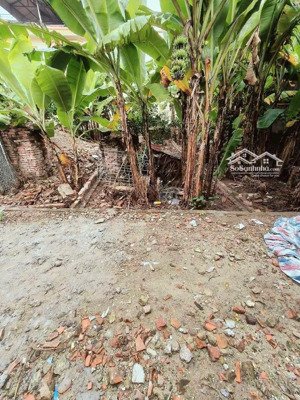 bán đất tại trung tâm tình quang giang biên dt 54m2 giá nhỉnh 4 tỷ ô tô đỗ cửa