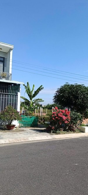 bán lô tái định cư mỹ gia đường 16m sổ hồng