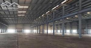 CHO THUÊ KHO XƯỞNG KCN ĐỨC HÒA, LONG AN 2900M2 NỀN EPOXY, GIÁ 200TR, PCCC TỰ ĐỘNG