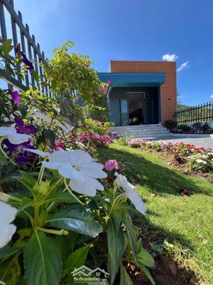 căn nhà gió thông 1 không gian sống xanh tại gia lâm một nơi an cư lý tưởng ven đà lạt