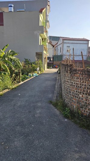 ngọc động đa tốn, gia lâm | hàng xóm vinhomes ô tô đầu tư & kinh doanh đỉnh full thổ cư