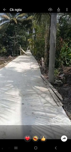 bán đất tại xã phước thạnh, mỹ tho, tiền giang, 450 triệu, 100m2 hàng hiếm giá tốt