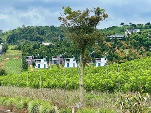 nam hà- lâm hà dt 200m2 sẵn thổ cư 100m2 đường bêtông, kdc đông view chill chill thơ mộng chỉ 4xxtr