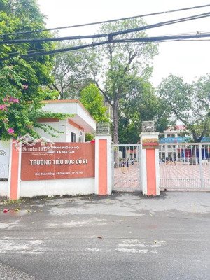 đất cổ bi, đi bộ ra chợ vàng, đường trải mới, diện tích rộng 60m, không quy hoạch, vuông đét