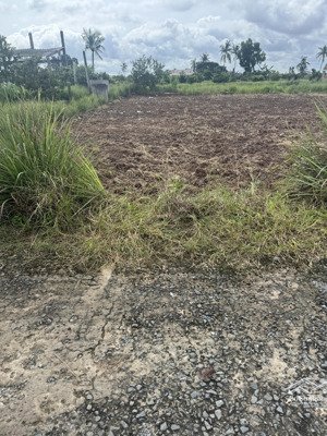 đất nền 210m2 (6x35) có 100m2 thổ cư giá 265tr