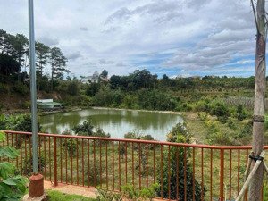 hàng hiếm cho nghỉ dưỡng: 10.000m2 giá chỉ 10 tỷ cách ql27 chỉ 50m, cách sân bay tầm 6km.