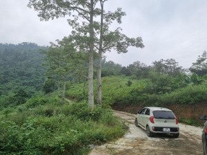 đất nghỉ dưỡng viu hồ lưng tựa núi mặt tiền dài sát trường học quốc tế sobinhhiu giá rẻ quá mà