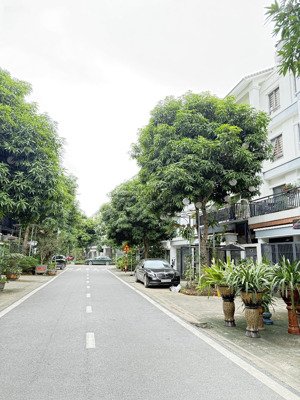 chủ biệt thự số 68 cần sang nhượng vía lộc phát này cho chủ nhân mới đầy đủ phước duyên- 75tỷ