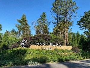 bán nhanh suất ngoại giao dự án thanh xuân valley vĩnh phúc hồ đại lải, dt: 81m, 100m, 198m, 550m