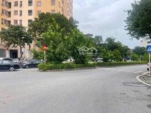 mặt phổ kinh doanh - đường 30m- đối diện toà nhà ruby -100m2- mặt tiền 5m-giá đầu tư - khu đấu giá