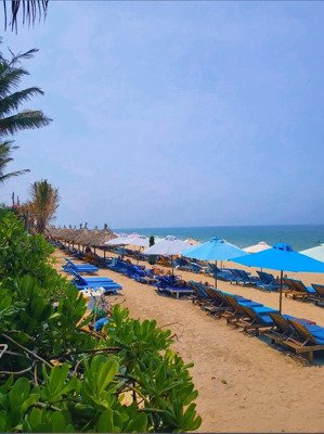 cần bán lô đất 2 mặt tiền làng chài tân thành -hội an tây.diện tích 329 m2.giá 33 triệu/m