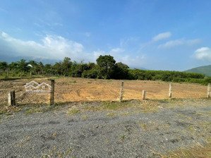 bán 4 lô đất full thổ cư giáp suối giá chỉ 299tr, diện tích trên 200 m2 tại ninh tân, ninh hoà